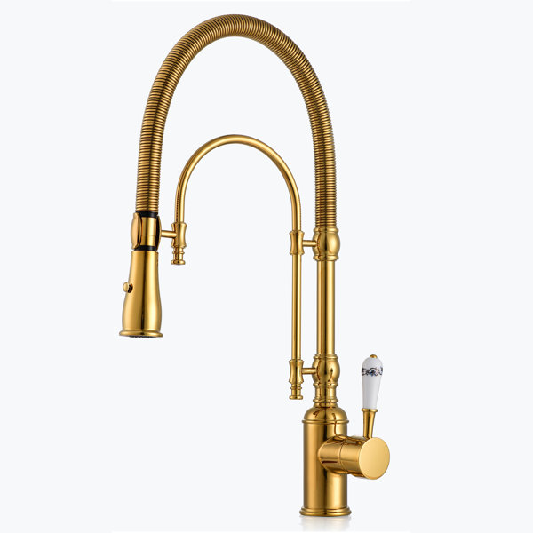 Designer Collection Pull Down Kitchen Faucet Reviews Wayfair   Designer Collection Pull Down Kitchen Faucet 